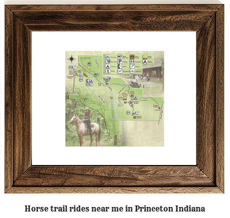 horse trail rides near me in Princeton, Indiana